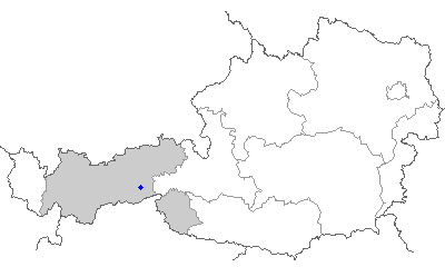 Bij het blauw vierkantje ligt mayrhofen
